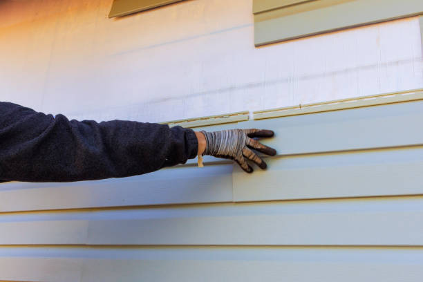 Best Stucco Siding  in Bangor, MI